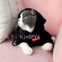 츲