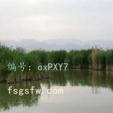 ؼ